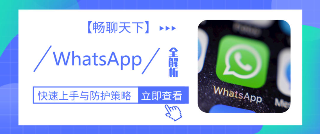 【畅聊天下】WhatsApp快速上手与防护策略全解析！